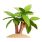 Tropical Trees Icon